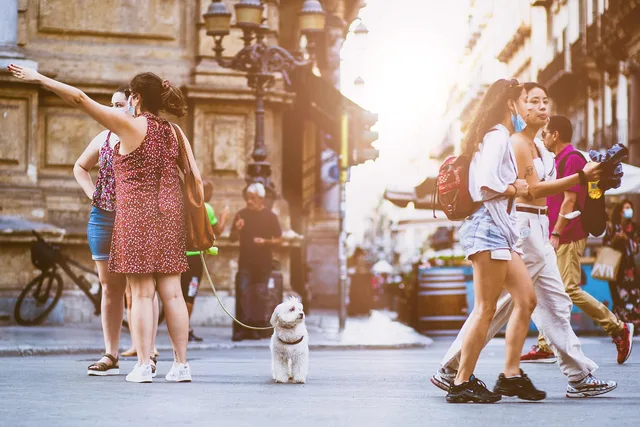 people, street, city, animal, walking, urban, crowd, road, busy, lifestyle, friends, pet, dog, doggy, canine, summer, cute, together, group, fun, friendship, tourists, nature, disney. Ranking the walking-trip mistakes that cost the most money
