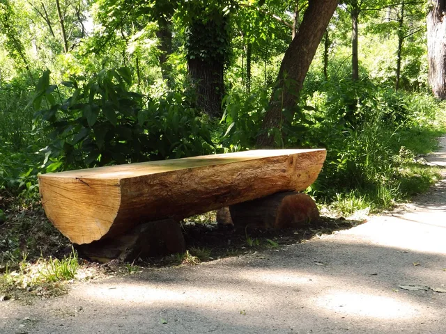 bench, rest, trail, nature, walk, outdoor, seat, wooden, leisure, relax, solitude, chair, outside, path, view, comfortable, sit, retirement, furniture, natural, scene, woods, walkway, tranquil, place. Walking Itinerary Design Options: Six Waypoints