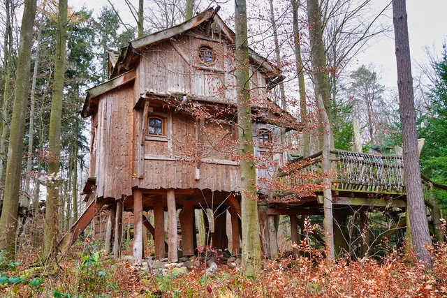 treehouse, wooden hut, tree house hotel, forest, forest hotel, hotel, wood, architecture, room, house, tourism, nature, vacations, to travel, landscape, treehouse, treehouse, treehouse, treehouse, treehouse. Car-free weekends: how to choose places to stay on foot